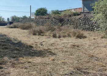 1721244523023.jpg - Terreno agricolo CONTRADA RACCOMANDATA, Misterbianco - foto 16