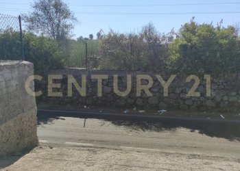 1721244523044.jpg - Terreno agricolo CONTRADA RACCOMANDATA, Misterbianco - foto 23