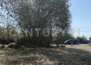 1721245164559.jpg - Terreno agricolo CONTRADA RACCOMANDATA, Misterbianco - foto 24