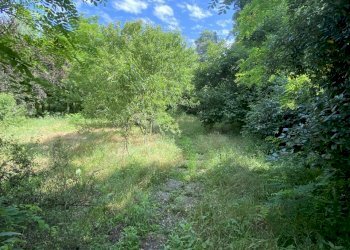 IMG_7692.jpeg - Ristorante VIA ROMA 10, Moscazzano - foto 14