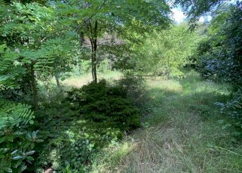 IMG_7691.jpeg - Ristorante VIA ROMA 10, Moscazzano - foto 15