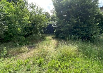 IMG_7687.jpeg - Ristorante VIA ROMA 10, Moscazzano - foto 16