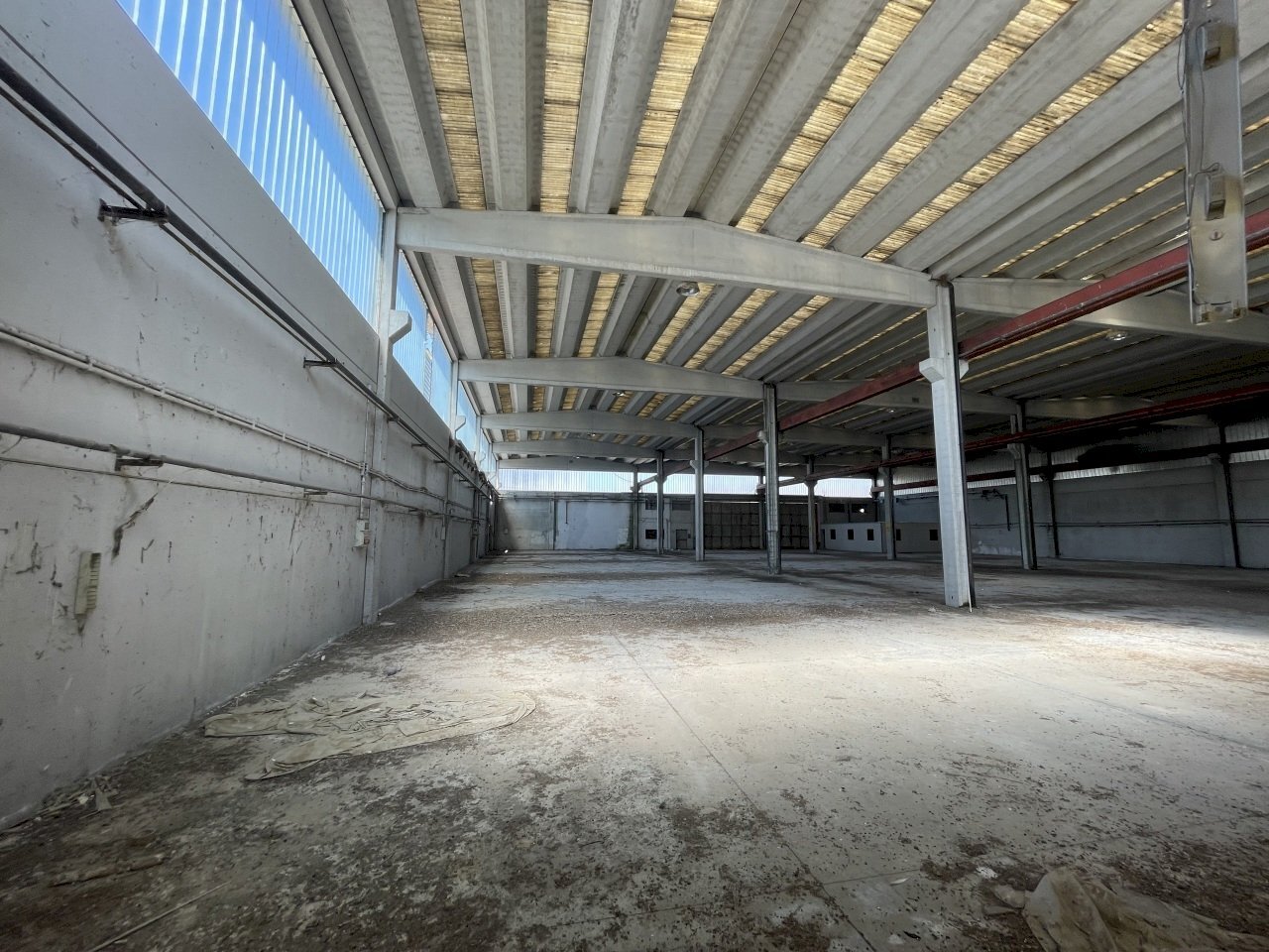 IMG_3323.jpeg - Shed Via delle Barazzine 4, Pieve Porto Morone - photo 1