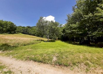 Terreno - Rustico via Gema, Teglio - foto 4