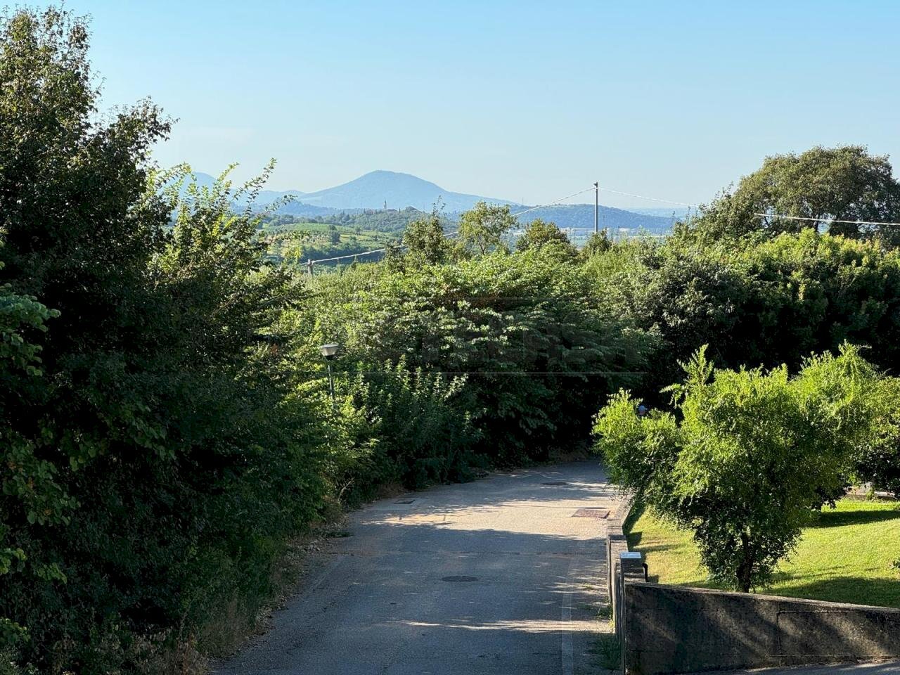 e494d9b5-456f-442d-a1e4-c505f7b779e6.jpeg - Terreno edificabile Via Giuseppe Garibladi, Barbarano Mossano - foto 3