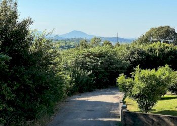 e494d9b5-456f-442d-a1e4-c505f7b779e6.jpeg - Terreno edificabile Via Giuseppe Garibladi, Barbarano Mossano - foto 3