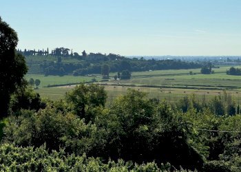 05b361a1-0fb8-4048-a333-2d5e23e3fe31.jpeg - Terreno edificabile Via Giuseppe Garibladi, Barbarano Mossano - foto 7