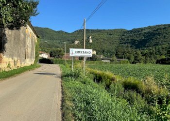 b286985c-510e-4a22-b65c-ce9b1e2c3ea7.jpeg - Terreno edificabile Via Giuseppe Garibladi, Barbarano Mossano - foto 8