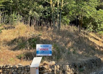 da94d448-63c3-498a-b3ee-bf98830b3a49.jpeg - Terreno edificabile Via Giuseppe Garibladi, Barbarano Mossano - foto 12