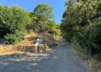 f78bd6ff-f1e2-4ef9-87ef-253470587609.jpeg - Terreno edificabile Via Giuseppe Garibladi, Barbarano Mossano - foto 13