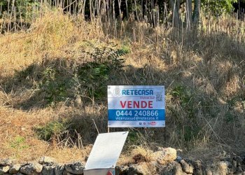 e365d645-b906-4bb4-bcb9-3a74c01a19ff.jpeg - Terreno edificabile Via Giuseppe Garibladi, Barbarano Mossano - foto 15