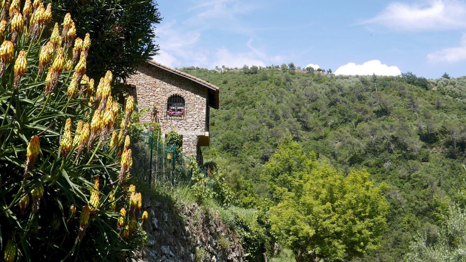 Independent house Dolceacqua - photo 1