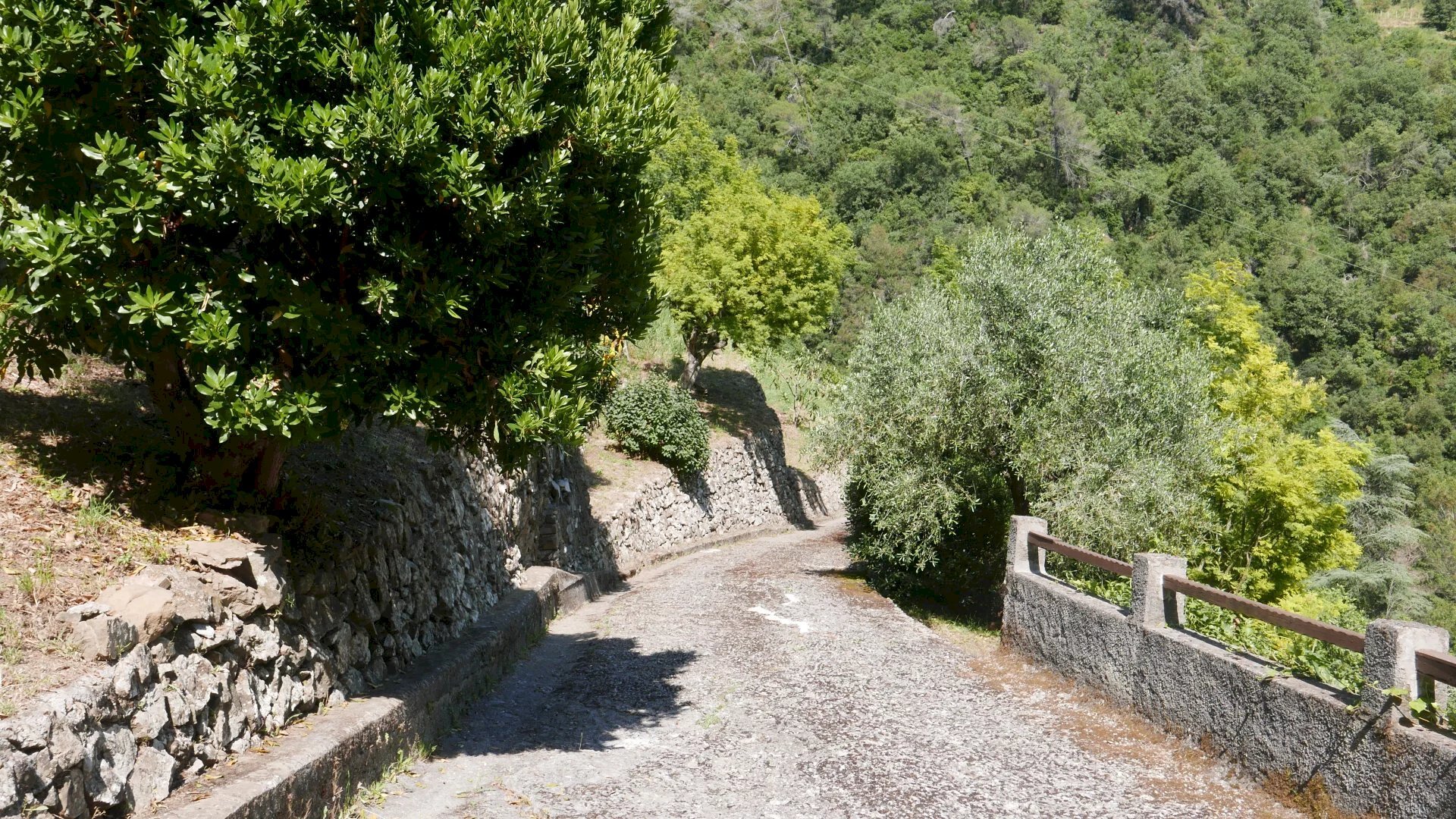 Independent house Dolceacqua - photo 3