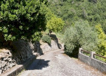 Independent house Dolceacqua - photo 3
