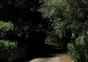 Independent house Dolceacqua - photo 5