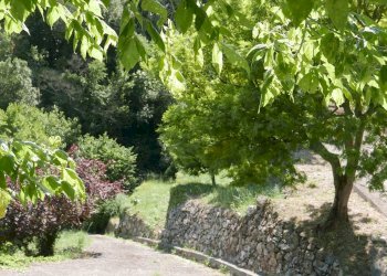 Independent house Dolceacqua - photo 6