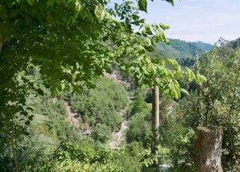 Independent house Dolceacqua - photo 10