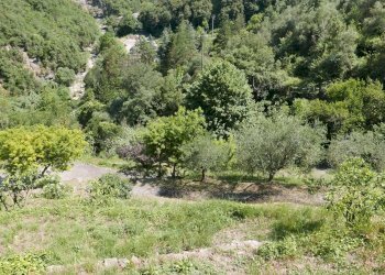 Independent house Dolceacqua - photo 29