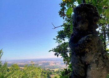 Villa Unifamiliare Rivergaro - foto 9