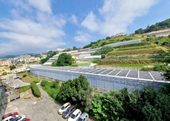 Appartamento Via sapello, Genova (zona Prà) - foto 22