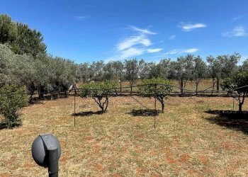 Villa Contrada Raganella, Sciacca - foto 21