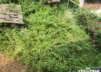 Casa semi indipendente Cocconato - foto 32