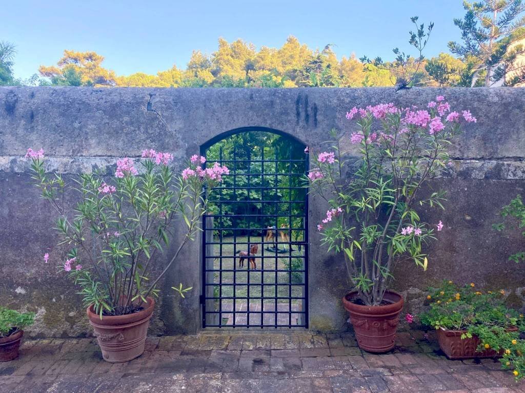 Giardino - Villa Località Bagno, Marciana Marina - foto 3