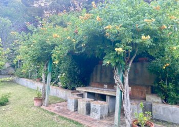 Giardino - Villa Località Bagno, Marciana Marina - foto 34