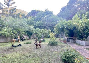 Terreno - Villa Località Bagno, Marciana Marina - foto 29