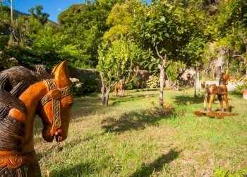 Terreno - Villa Località Bagno, Marciana Marina - photo 31