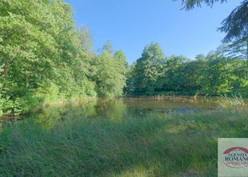 Rif 1585 (66).jpg - Villa Località Ca' Gepin 1, Dego - photo 28