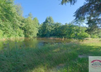 Rif 1585 (69).jpg - Villa Località Ca' Gepin 1, Dego - photo 29