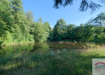 Rif 1585 (70).jpg - Villa Località Ca' Gepin 1, Dego - photo 30