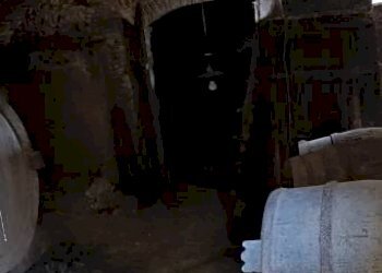 Rustico Cortazzone - foto 8