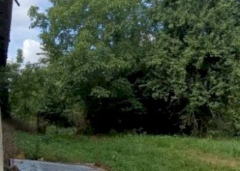 Rustico Cortazzone - foto 24