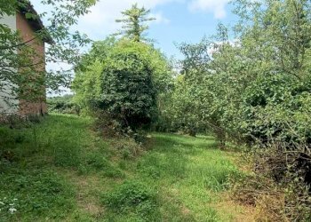 Rustico Cortazzone - foto 27