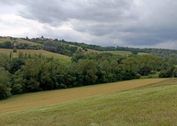 Casa indipendente Montiglio Monferrato - foto 11