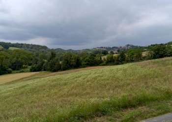 Casa indipendente Montiglio Monferrato - foto 12