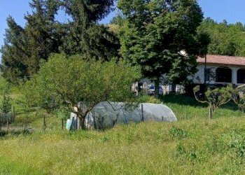 Rustico Asti - foto 3