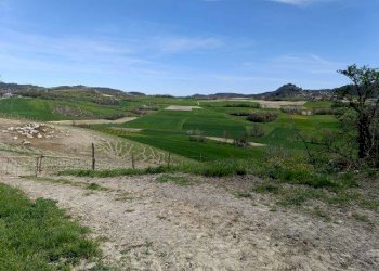 Rustico Murisengo - foto 6