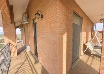 Azienda agricola Strada Tetti Berta, Vinovo - foto 15