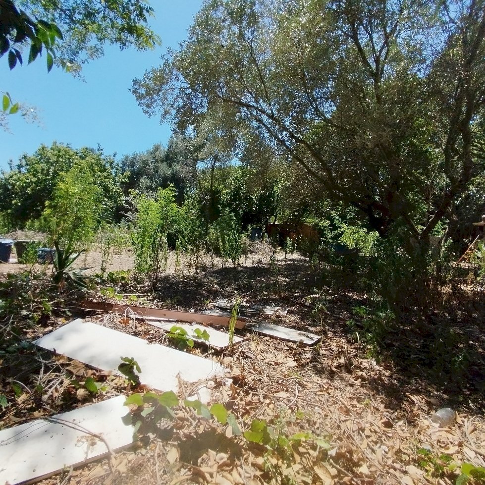 1721637092440.jpg - Rustico via dell gardenie 33, Aprilia - foto 1