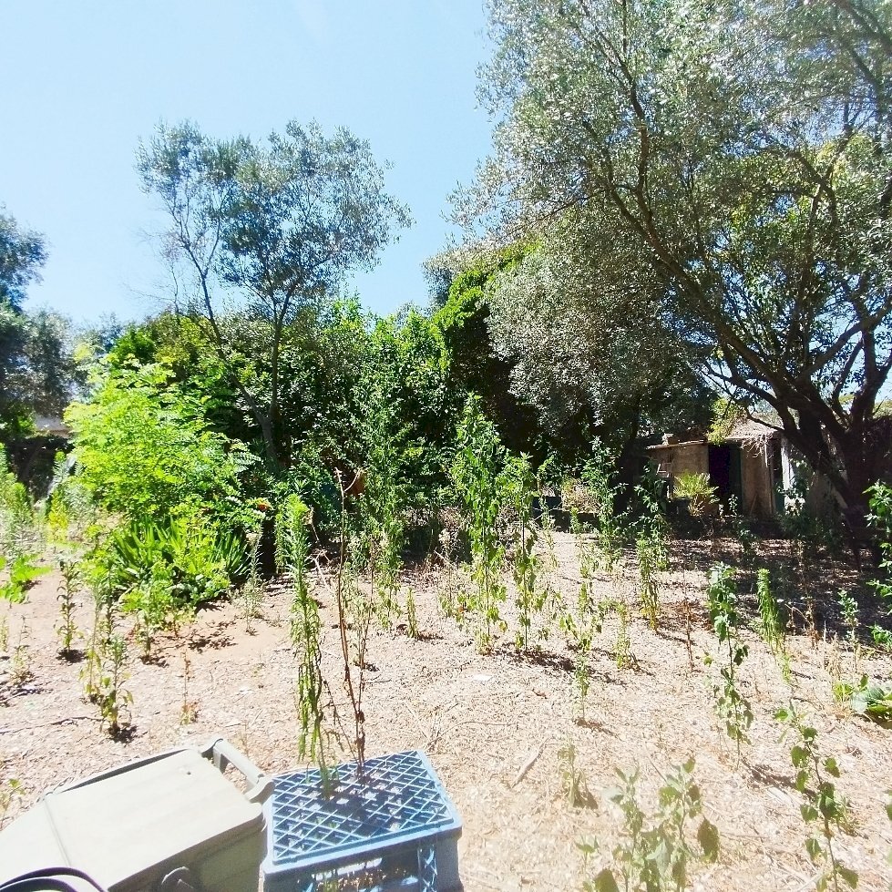 1721637092446.jpg - Rustico via dell gardenie 33, Aprilia - foto 2