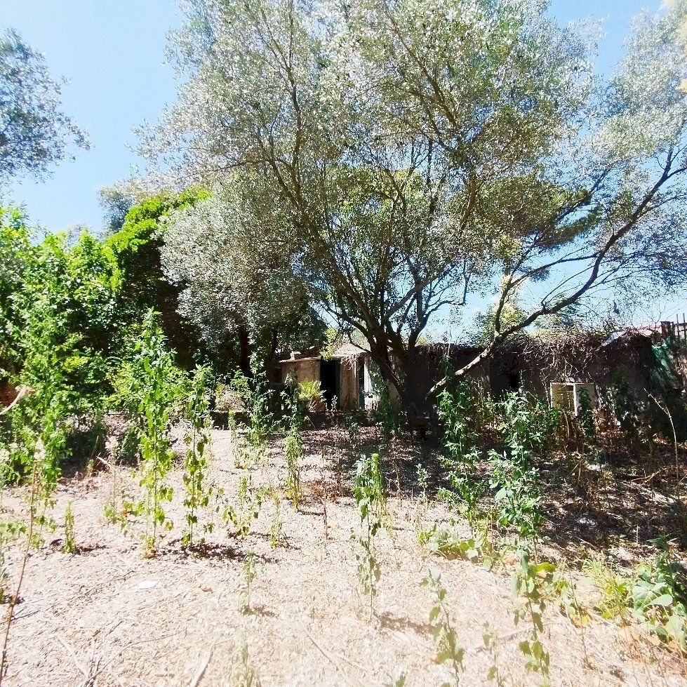 1721637092455.jpg - Rustico via dell gardenie 33, Aprilia - foto 3