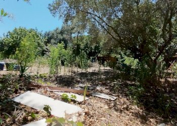 1721637092440.jpg - Rustico via dell gardenie 33, Aprilia - foto 1