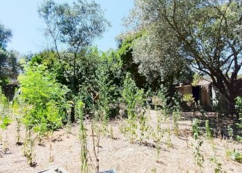 1721637092446.jpg - Rustico via dell gardenie 33, Aprilia - foto 2