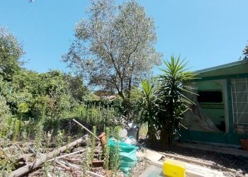 1721637092467.jpg - Rustico via dell gardenie 33, Aprilia - foto 4