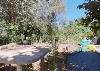 1721637092473.jpg - Rustico via dell gardenie 33, Aprilia - foto 5