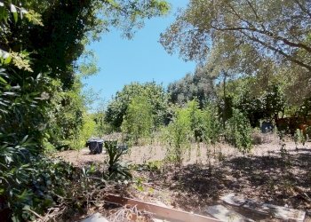 1721637092485.jpg - Rustico via dell gardenie 33, Aprilia - foto 7