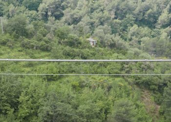 Terreno agricolo Perinaldo - foto 2